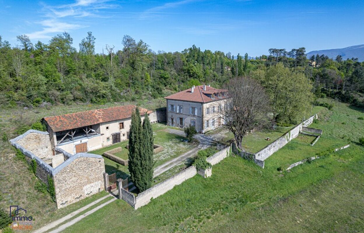maison 6 pièces 350 m2 à vendre à Romans-sur-Isère (26100)