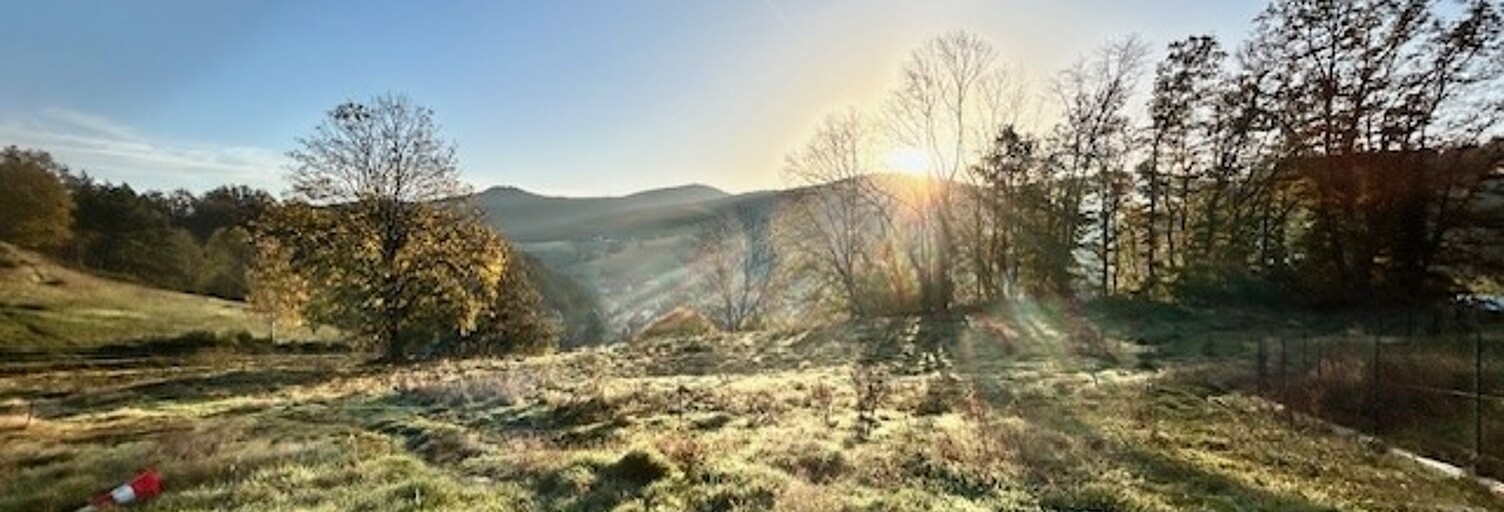 Appartement neuf T2, T3, T4 Pièce 47 à 87 m² à vendre à Orbey (68370)