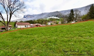 Photo N° 4