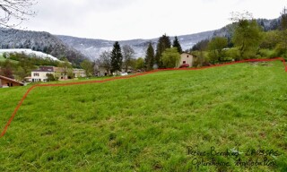 Photo N° 5