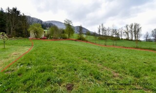 Photo N° 6