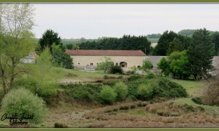Photo N° 4