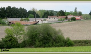 Photo N° 5