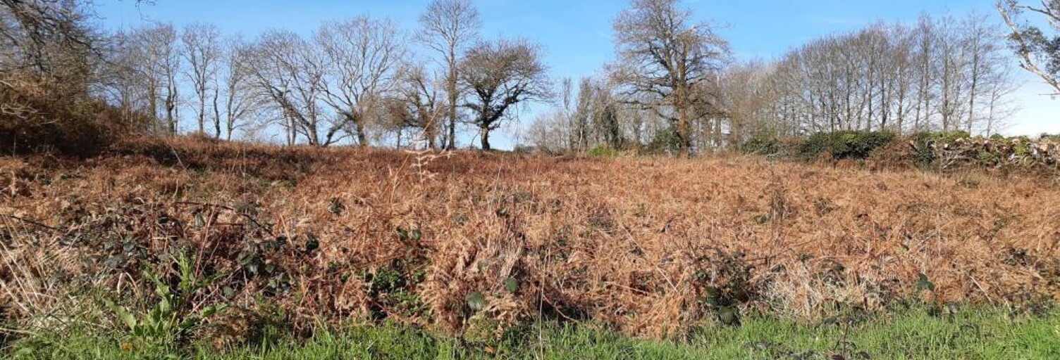 Terrain  2492 m² à vendre à Landudec (29710)