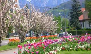 Appartement 2 Pièces 56 m² à louer à Annecy (74000)