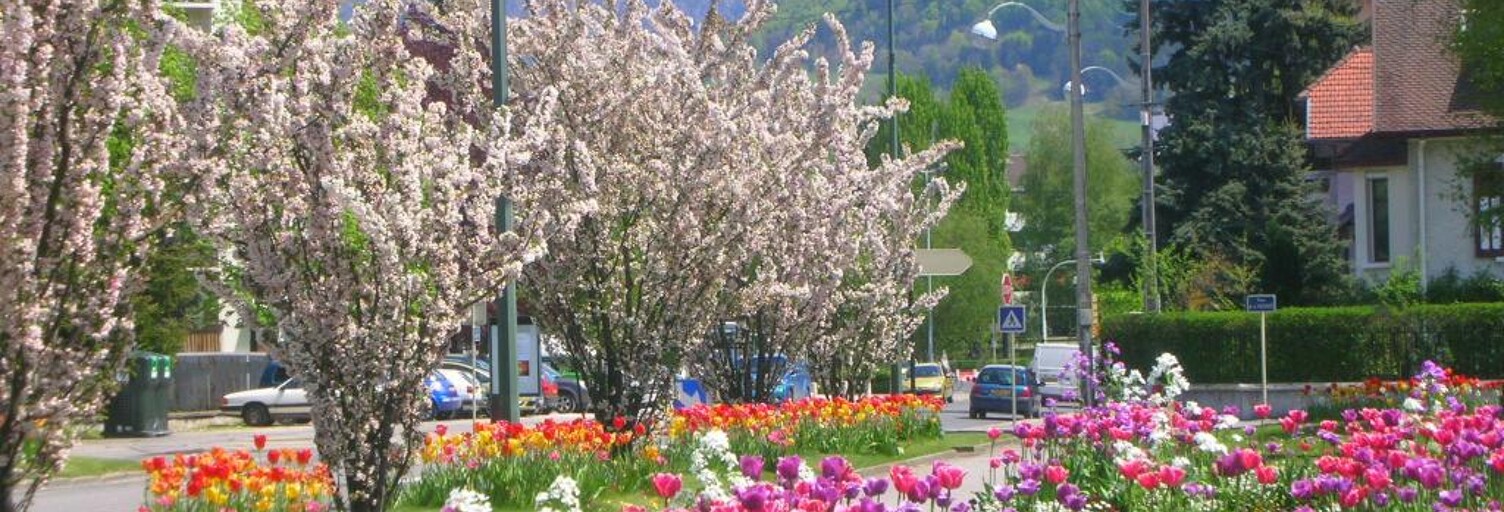 Appartement 2 Pièces 56 m² à louer à Annecy (74000)