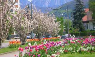 Appartement 2 Pièces 56 m² à louer à Annecy (74000)