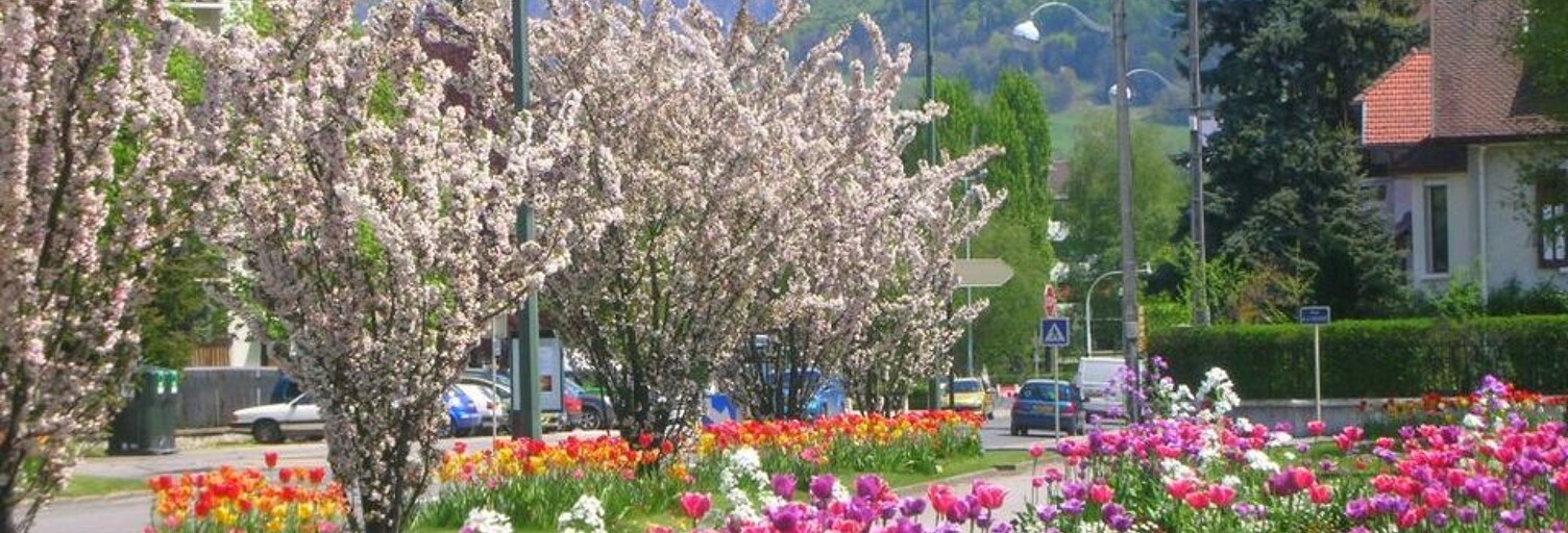 Appartement 2 Pièces 56 m² à louer à Annecy (74000)