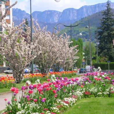 Appartement 2 pièces 1450 €