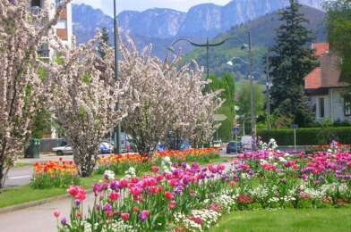 Appartement 2 pièces 1500 €