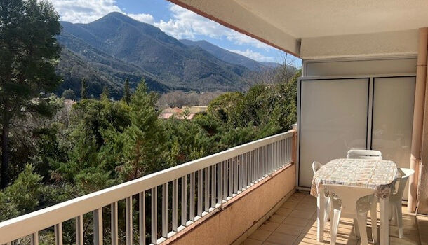 Appartement 1 pièces  à louer Amélie-les-Bains-Palalda 66110