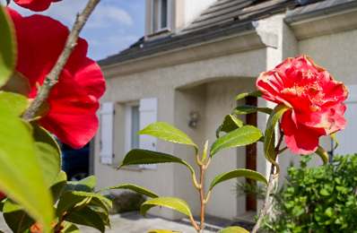 vente maison 395 000 € à proximité de Ballancourt-sur-Essonne (91610)