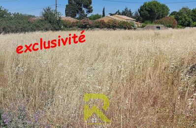 vente terrain 631 220 € à proximité de Palaja (11570)