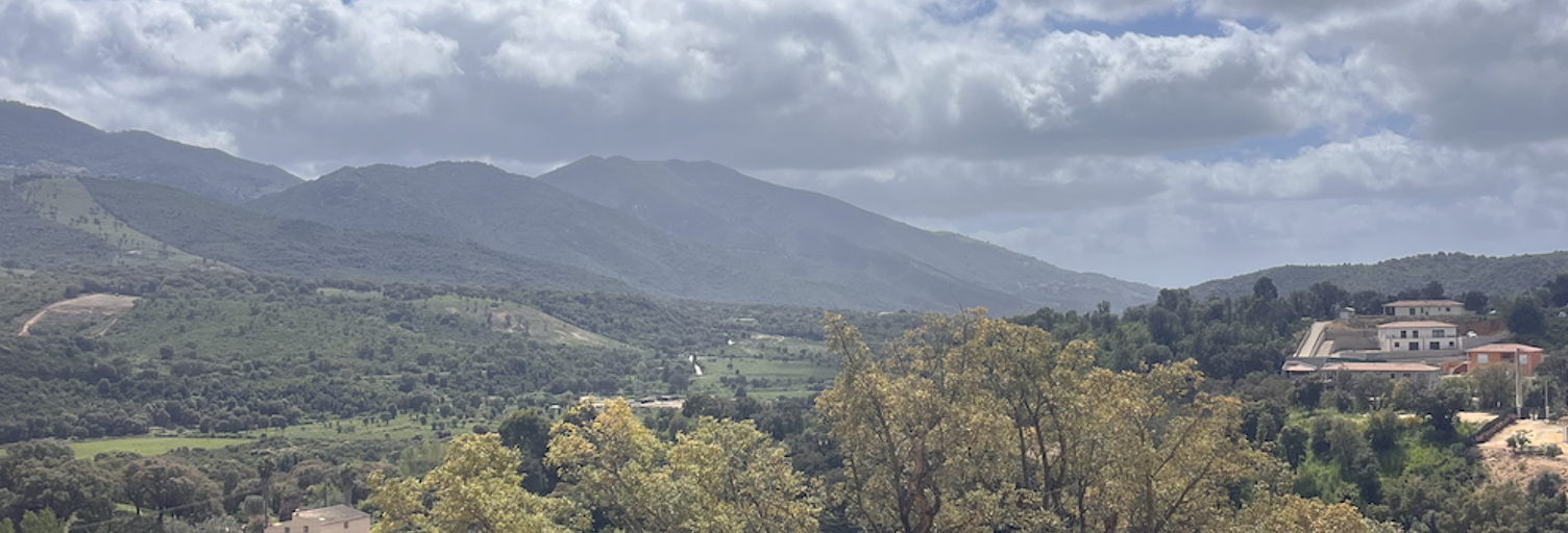 Terrain  875 m² à vendre à Tavaco (20167)