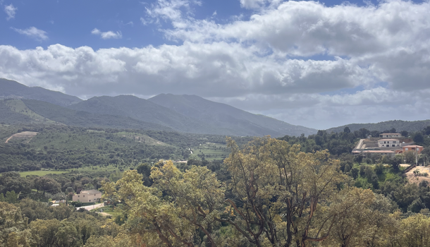 Terrain  à vendre Tavaco 20167