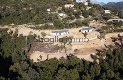 vente terrain 190 000 € à proximité de Casaglione (20111)
