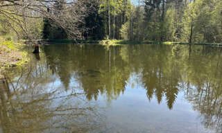 Terrain  21502 m² à vendre à Servance-Miellin (70440)