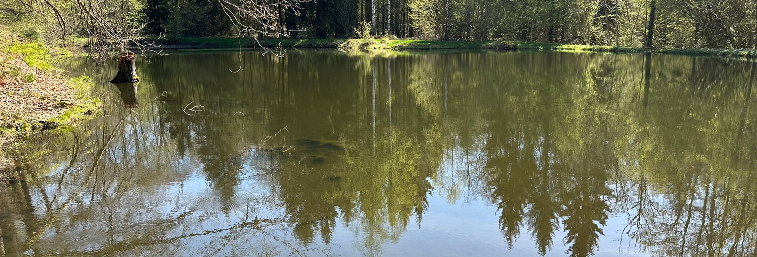 Terrain  21502 m² à vendre à Servance-Miellin (70440)