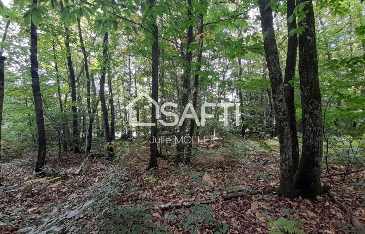 terrain  pièces 2410 m2 à vendre à Montaigut-le-Blanc (23320)