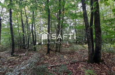 terrain  pièces 2410 m2 à vendre à Montaigut-le-Blanc (23320)