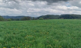 Photo N° 4
