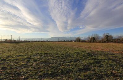 vente terrain 54 000 € à proximité de Pardies-Piétat (64800)