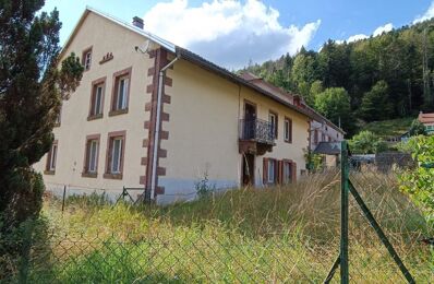 vente maison 156 000 € à proximité de Le Val-d'Ajol (88340)