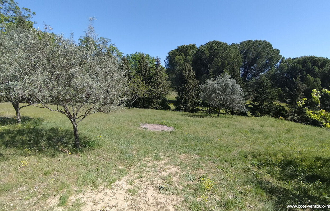 terrain  pièces 1200 m2 à vendre à Sarrians (84260)