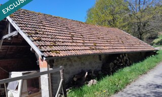 Photo N° 4