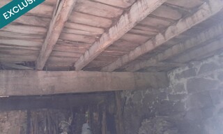 Photo N° 6