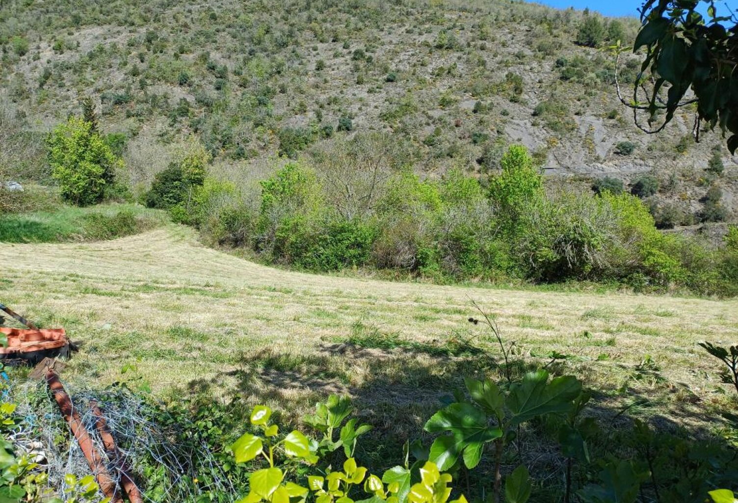 Terrain — photo 1