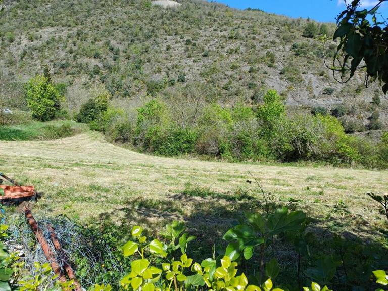 Terrain — photo 1