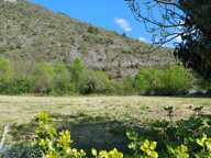 Terrain — photo 2