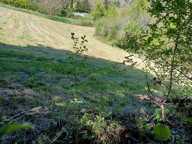 Terrain — photo 3