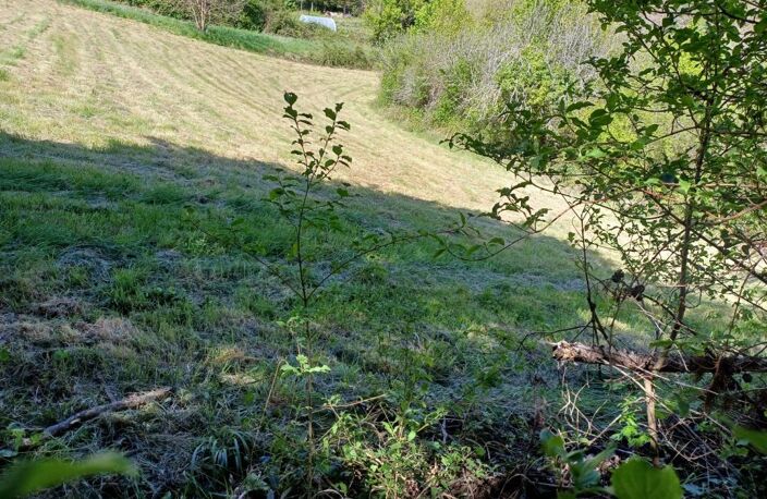 Terrain — photo 3