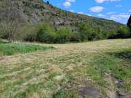 Terrain — photo 4