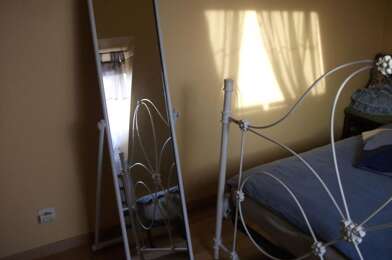 Appartement 1 pièces 320 €