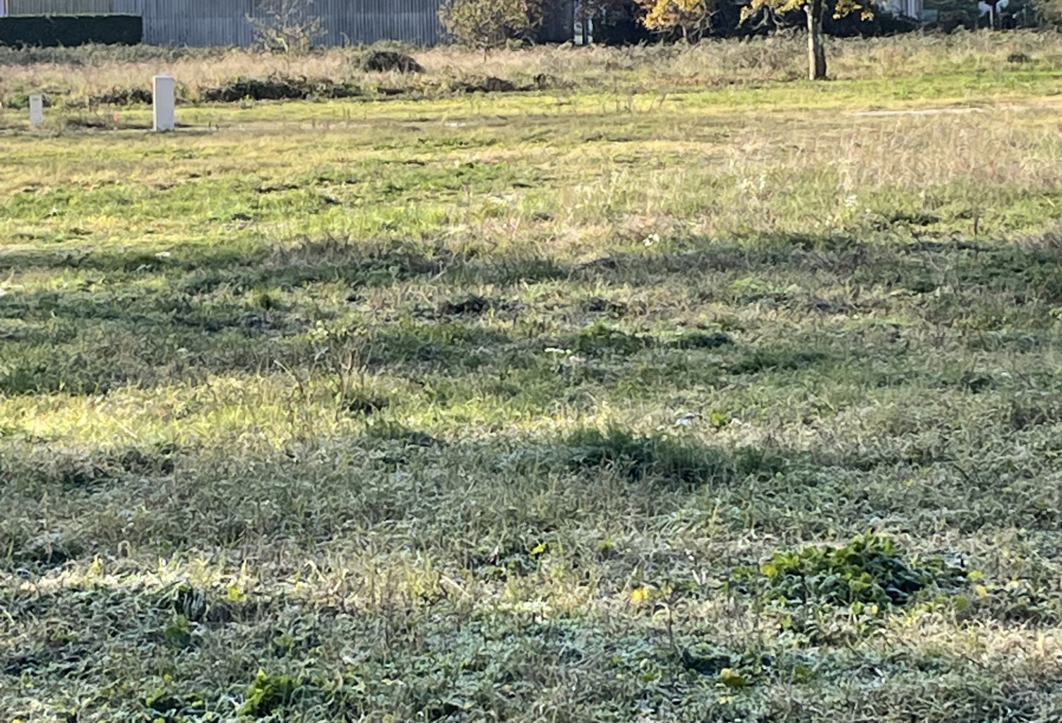 TERRAIN VIABILISÉ — photo 1