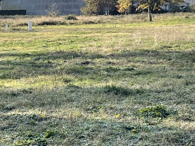 TERRAIN VIABILISÉ — photo du bien