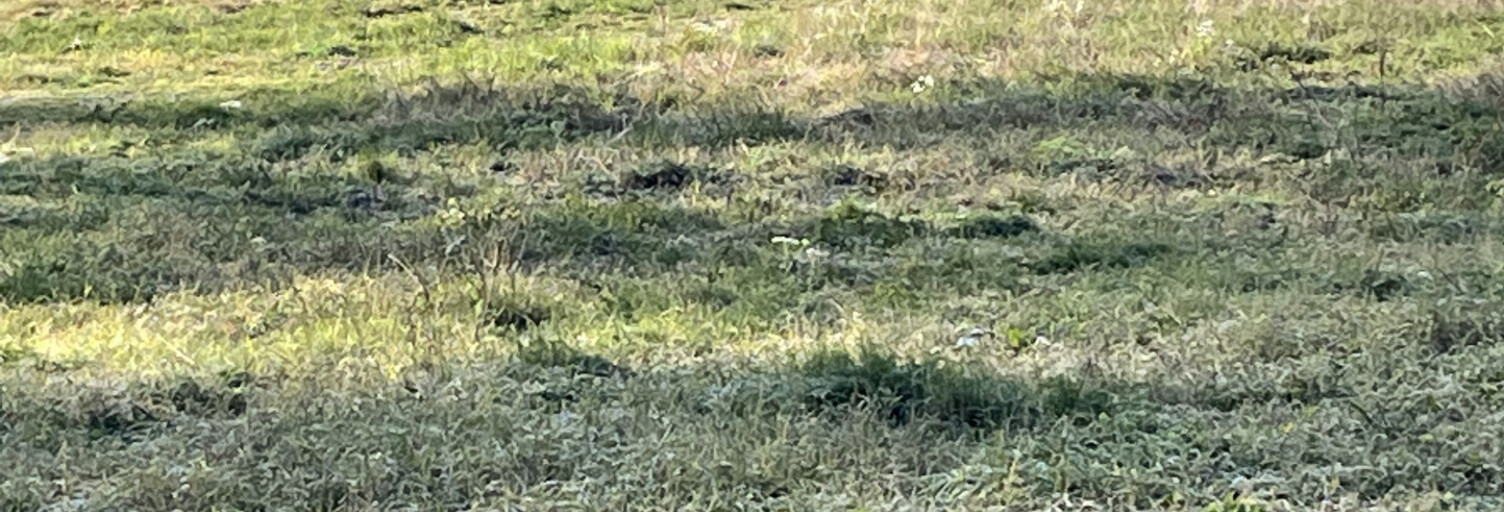 Terrain  704 m² à vendre à Houeillès (47420)