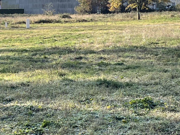 TERRAIN VIABILISÉ — photo 1