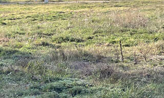 Terrain  966 m² à vendre à Houeillès (47420)