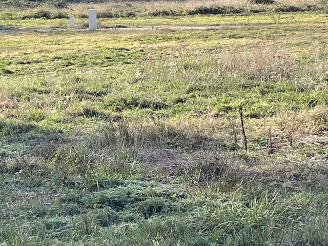 TERRAIN VIABILISÉ — photo du bien