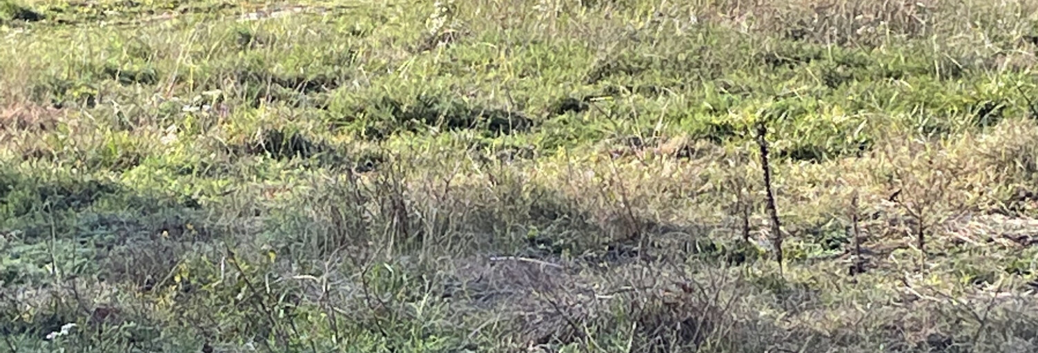 Terrain  966 m² à vendre à Houeillès (47420)