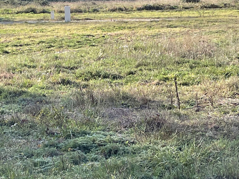 TERRAIN VIABILISÉ — photo 1