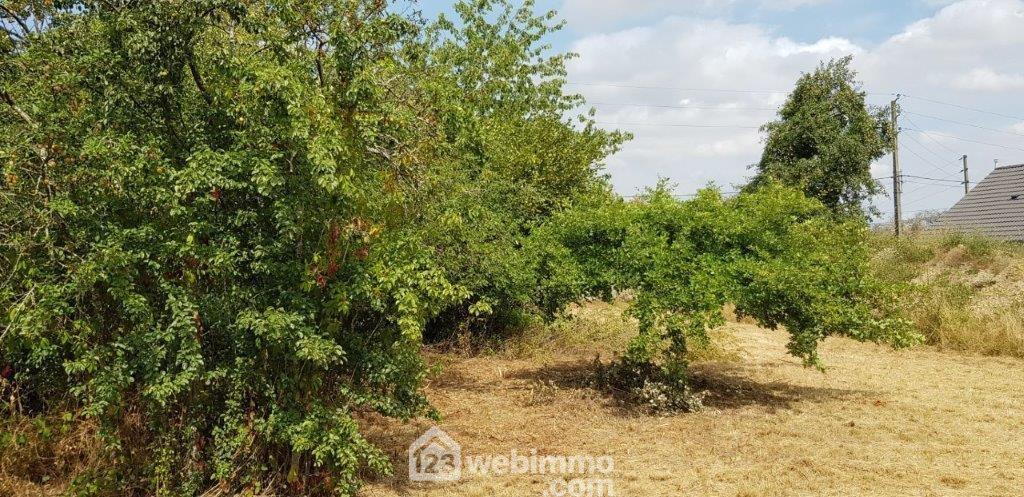 Terrain à bâtir - 753m² - Nemours