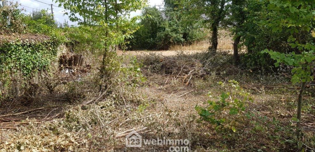 Photo Terrain à bâtir - 753m² - Nemours image 2/4