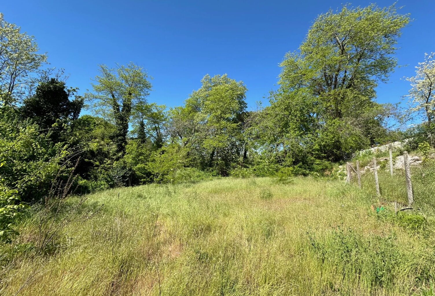 Terrain — photo 1