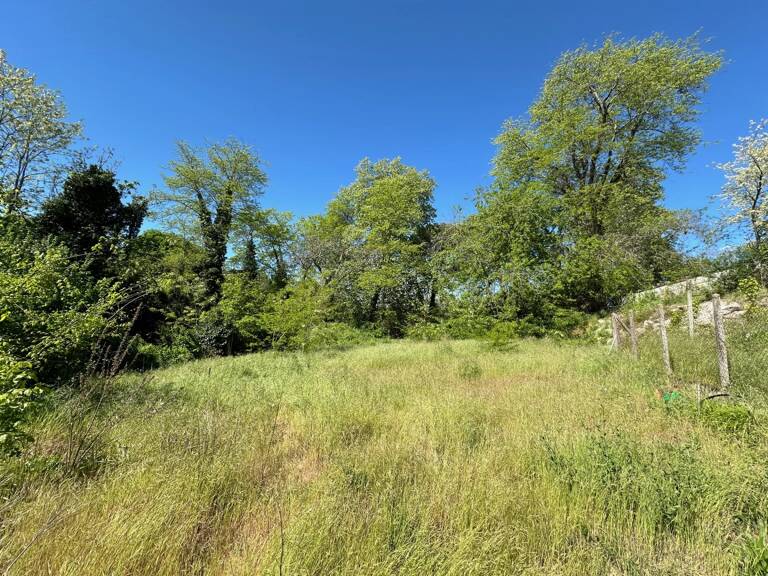 Terrain — photo 1