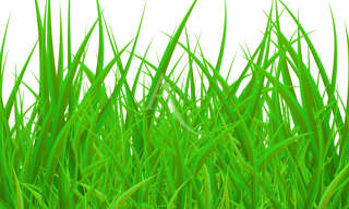 Terrain  2764 m² à vendre à Montauban (82000)